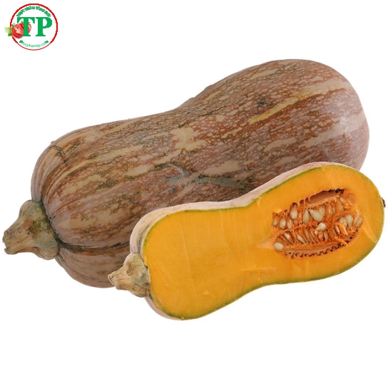 Bí Đỏ Hồ Lô 