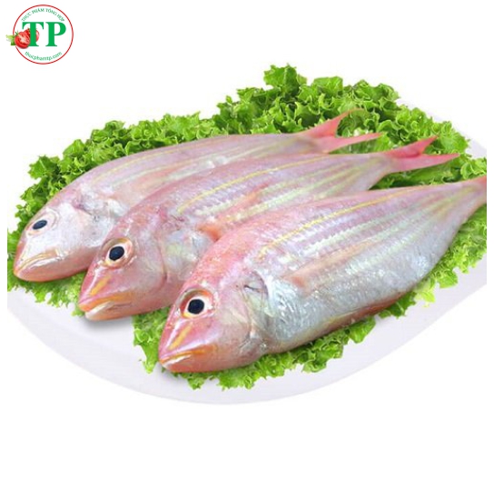 Cá Đồng 