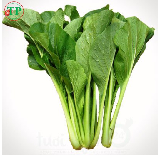 Cải Ngọt 