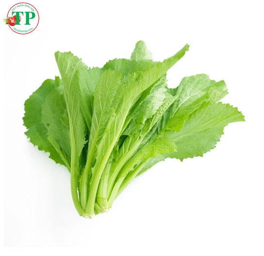 Cải Xanh 