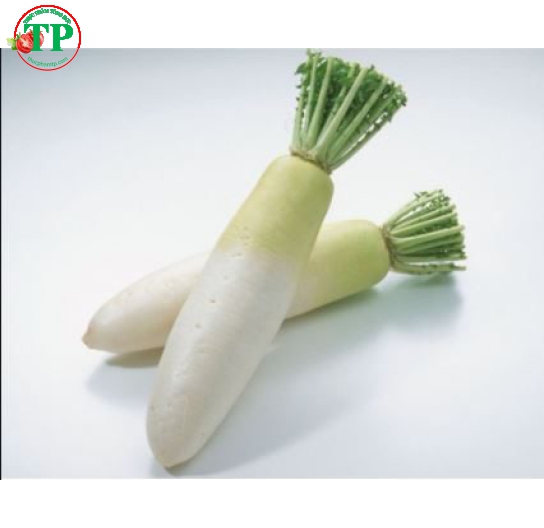 Củ Cải 
