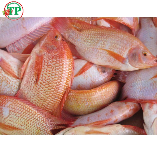Diêu Hồng 