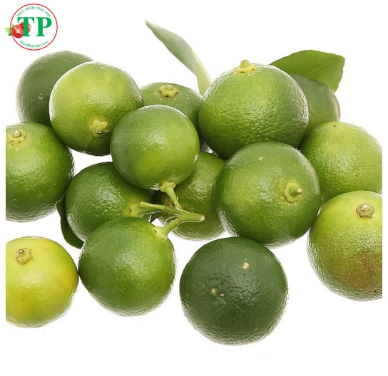 Trái Tắc